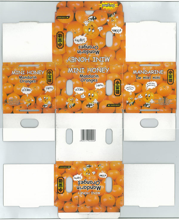300 DPI Scan of Client's Flattened Orange Box