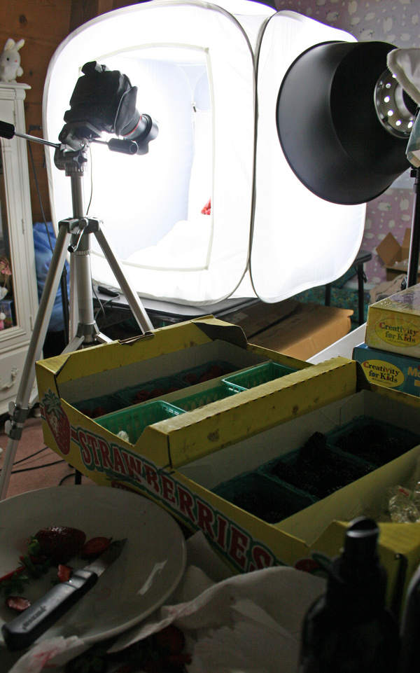 Studio Set Up for Shooting food products